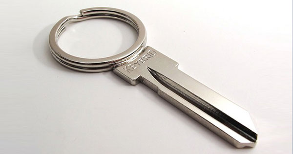 Keybird Keyring Key