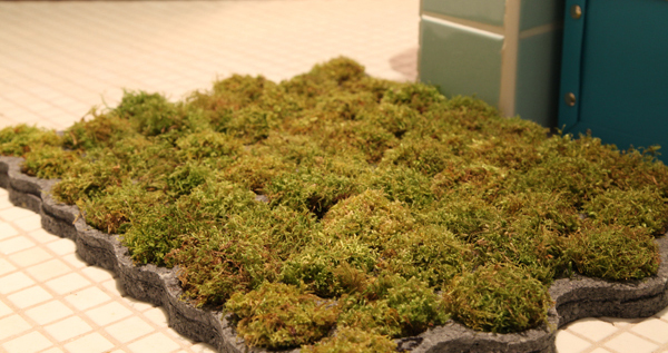 Larosée Moss Bath Rug