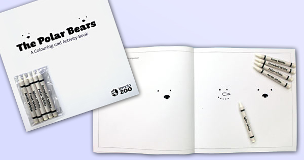 Polar Bear In a Snow Storm Colouring and Activity Book