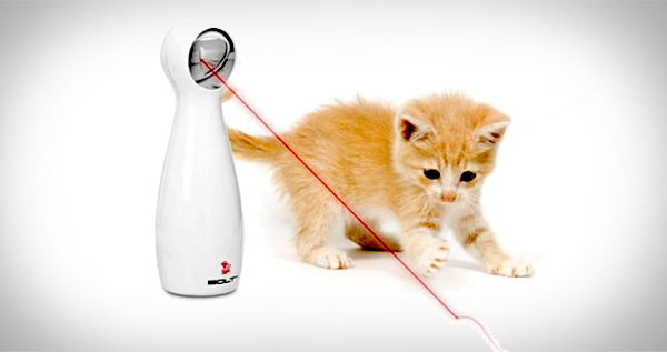 FroliCat BOLT