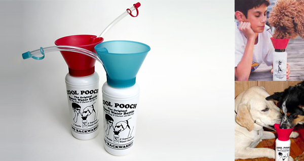 Cool Pooch Sport Bottle
