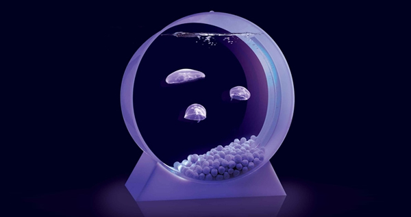 Desktop Jellyfish Tank Package