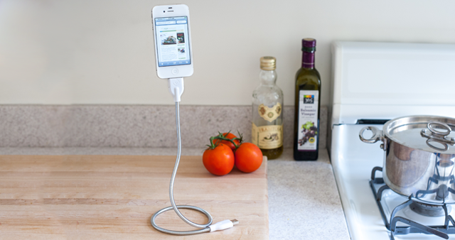 Bobine iPhone charging cable