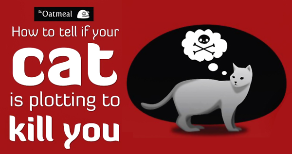 How to Tell If Your Cat is Plotting to Kill You by Matthew Inman