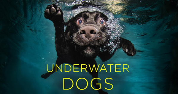 Underwater Dogs by Seth Casteel