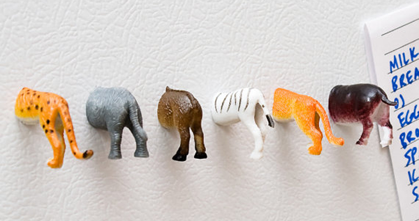 Animal Butt Magnets