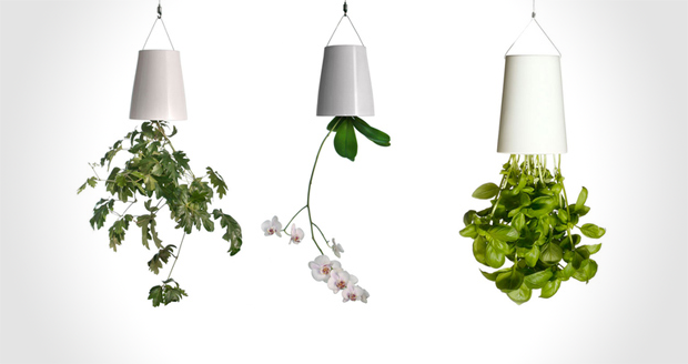 Sky Planter