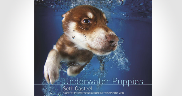 Underwater Puppies Book