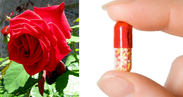 Rose Scented Farts Pill