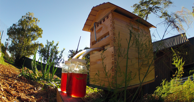 Flow Hive: Beehive Honey Tap